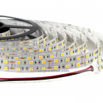 Dual Row 24V LED Strip Lights - 3 Chip SMD LED 5050