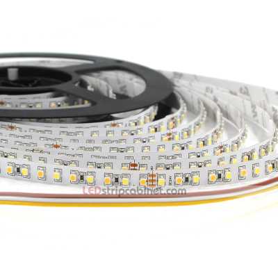 Color Temperature Changing 24V LED Strip Lights