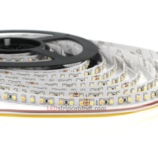 Color Temperature Changing 24V LED Strip Lights - Click Image to Close