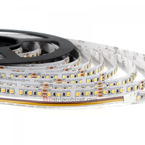 Tunable White Flexible LED Strip Lights with 36 SMDs/ft