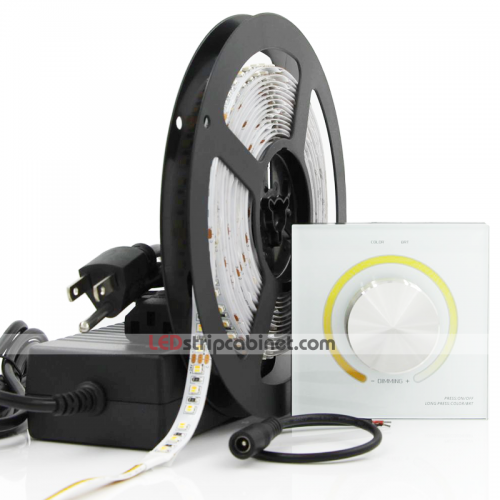 Tunable White Color Temperature Changing 24V LED Strip Light Kit